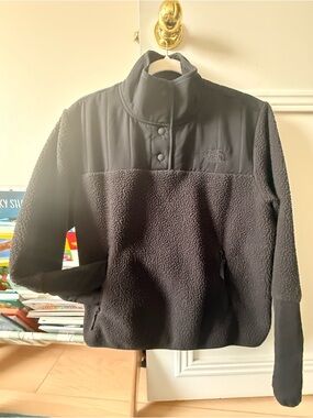 The North Face Black Sherpa-Lined Hoodie